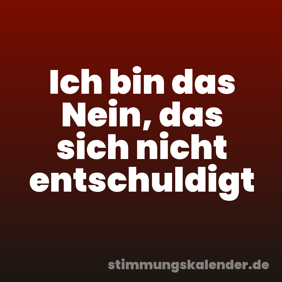 Ich bin das Nein, das sich nicht entschuldigt