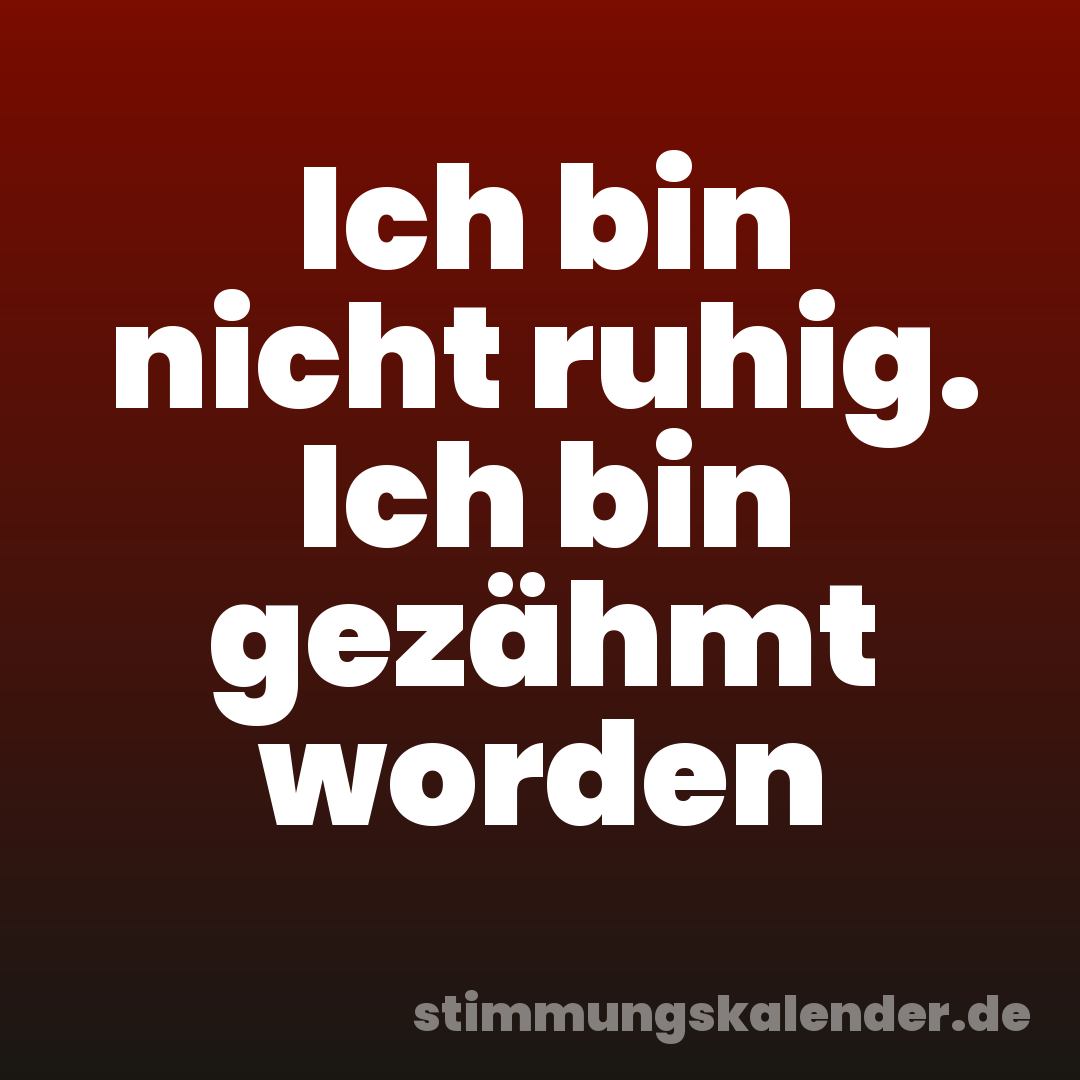 Ich bin nicht ruhig. Ich bin gezähmt worden
