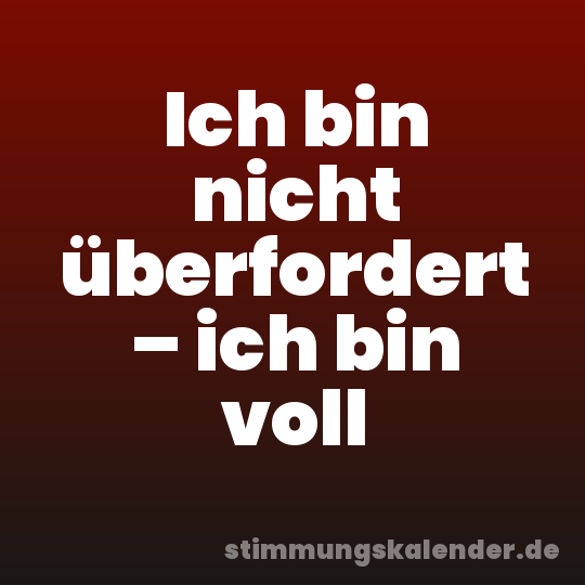 Ich bin nicht überfordert – ich bin voll