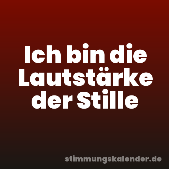 Ich bin die Lautstärke der Stille