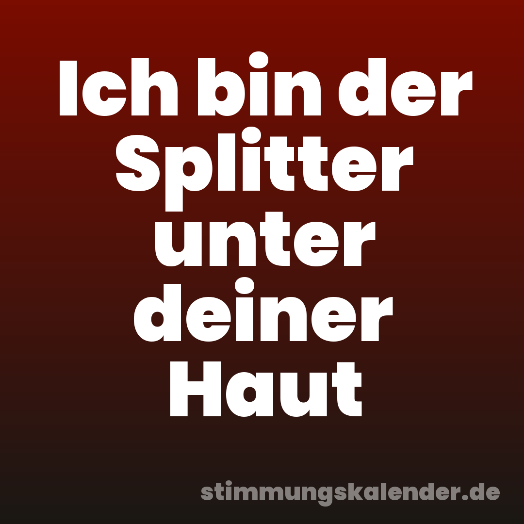 Ich bin der Splitter unter deiner Haut