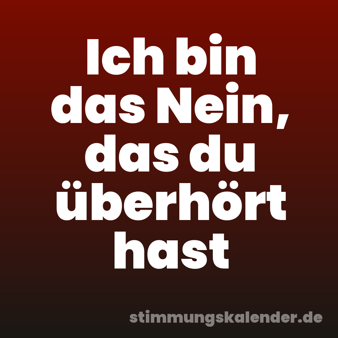 Ich bin das Nein, das du überhört hast