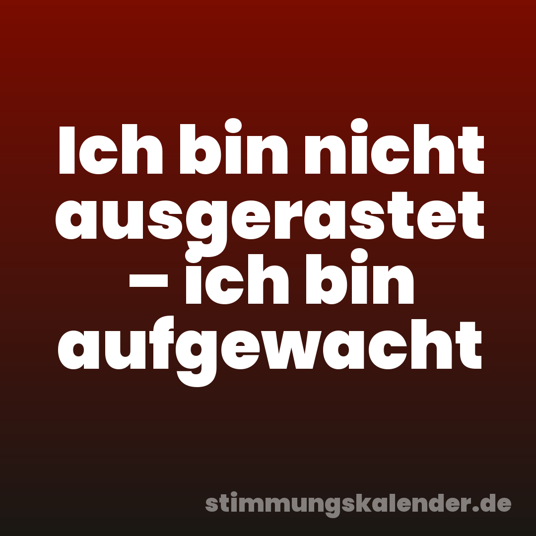 Ich bin nicht ausgerastet – ich bin aufgewacht