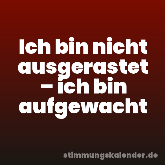 Ich bin nicht ausgerastet – ich bin aufgewacht