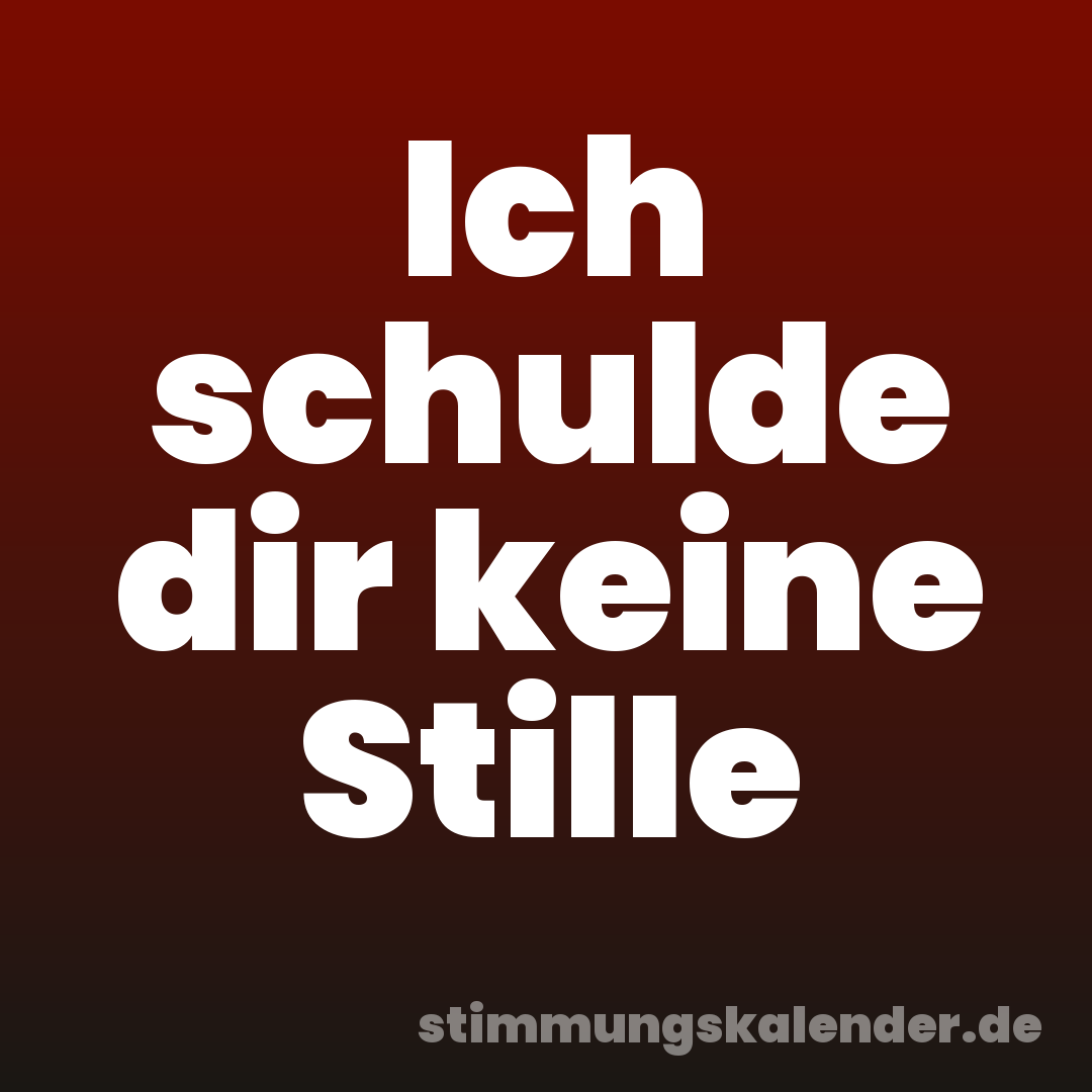 Ich schulde dir keine Stille