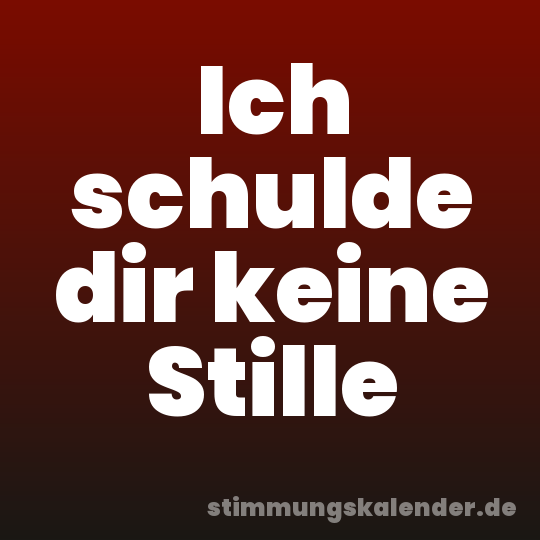Ich schulde dir keine Stille