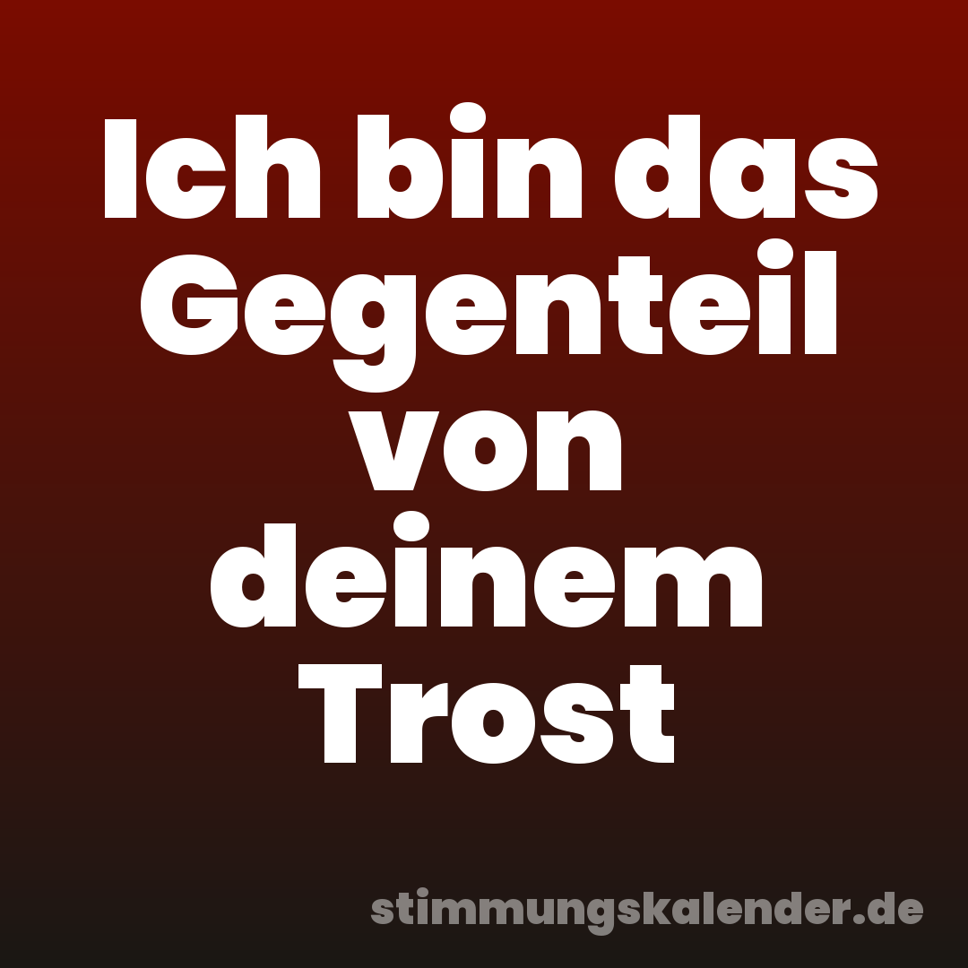Ich bin das Gegenteil von deinem Trost