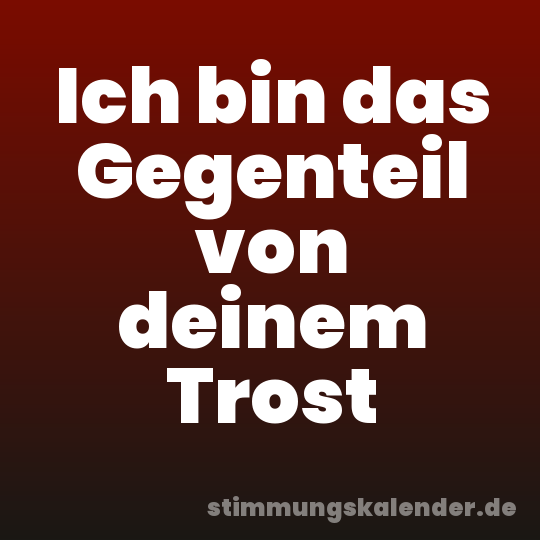 Ich bin das Gegenteil von deinem Trost