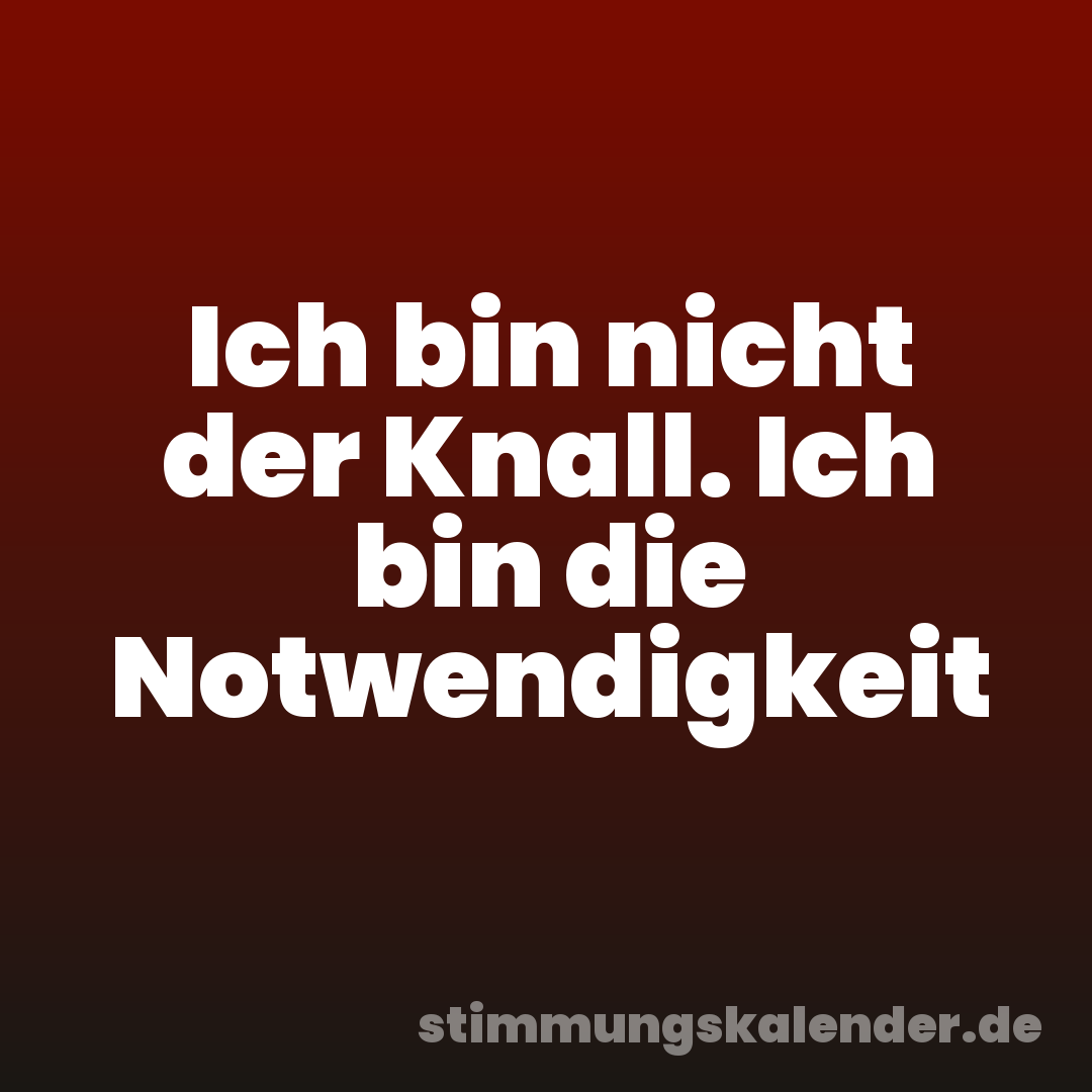 Ich bin nicht der Knall. Ich bin die Notwendigkeit