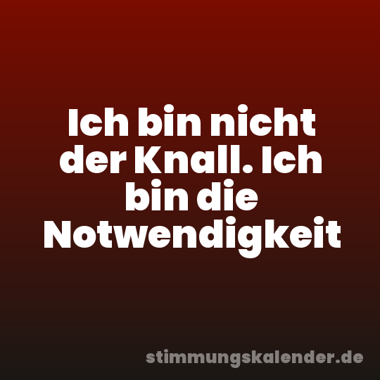Ich bin nicht der Knall. Ich bin die Notwendigkeit
