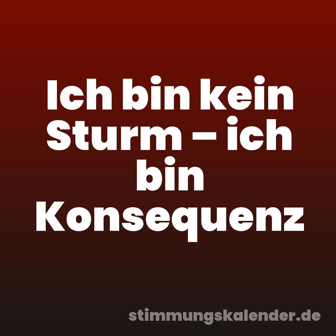 Ich bin kein Sturm – ich bin Konsequenz