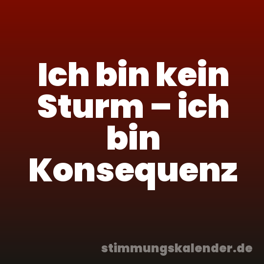 Ich bin kein Sturm – ich bin Konsequenz