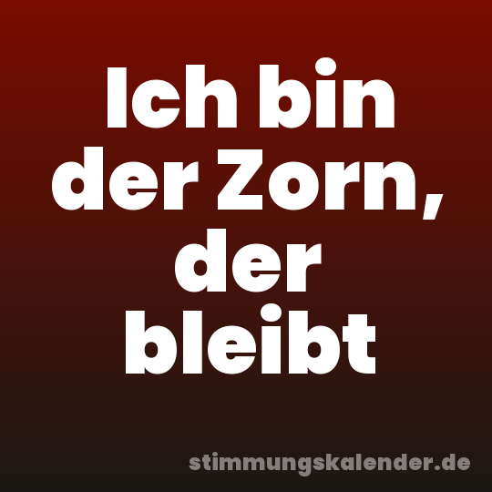 Ich bin der Zorn, der bleibt