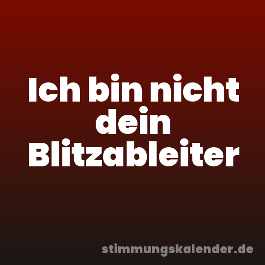 Ich bin nicht dein Blitzableiter