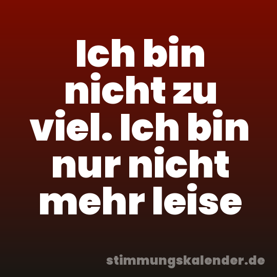 Ich bin nicht zu viel. Ich bin nur nicht mehr leise