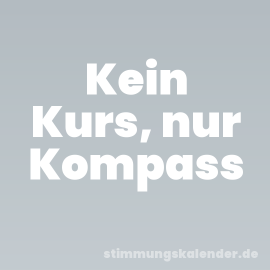Kein Kurs, nur Kompass
