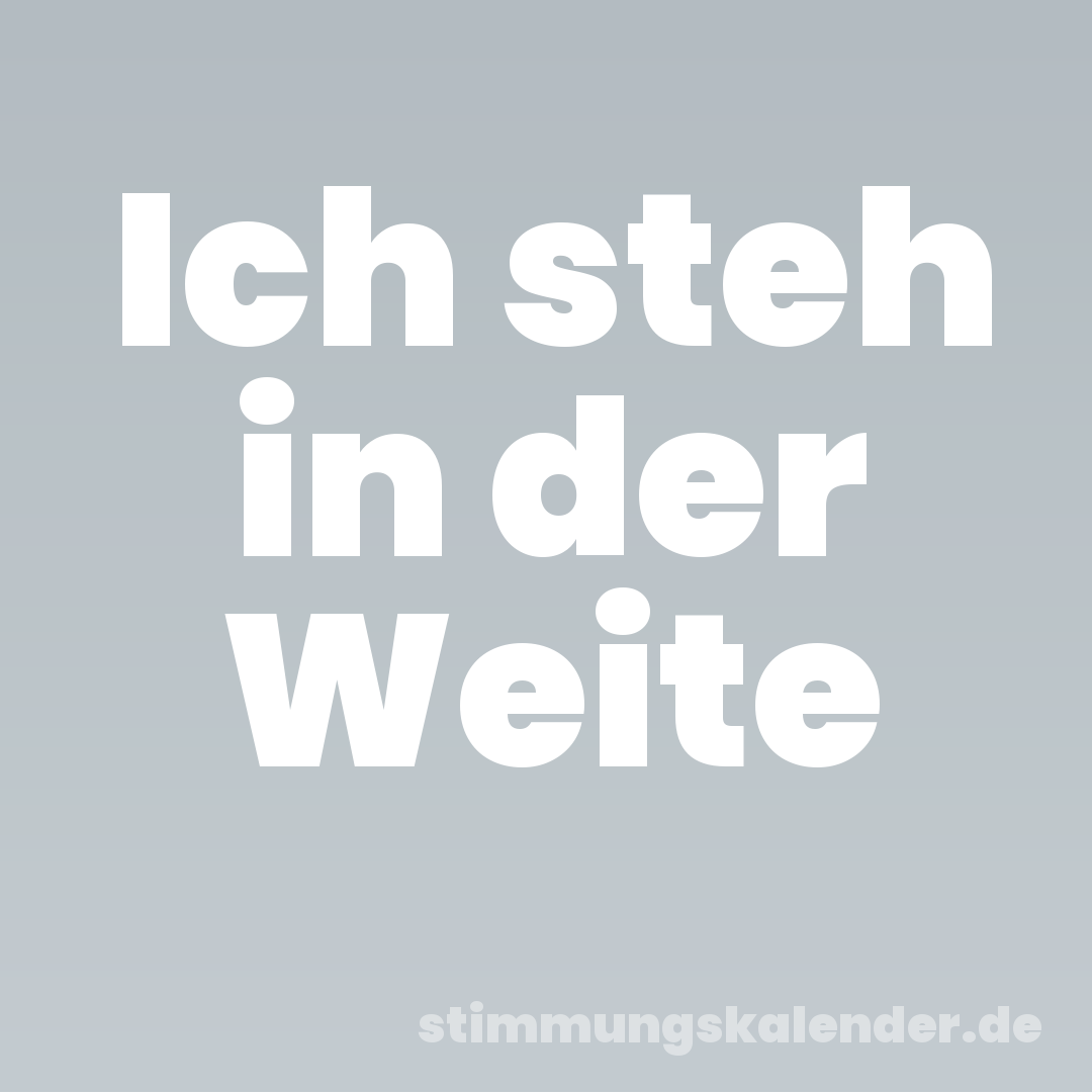 Ich steh in der Weite
