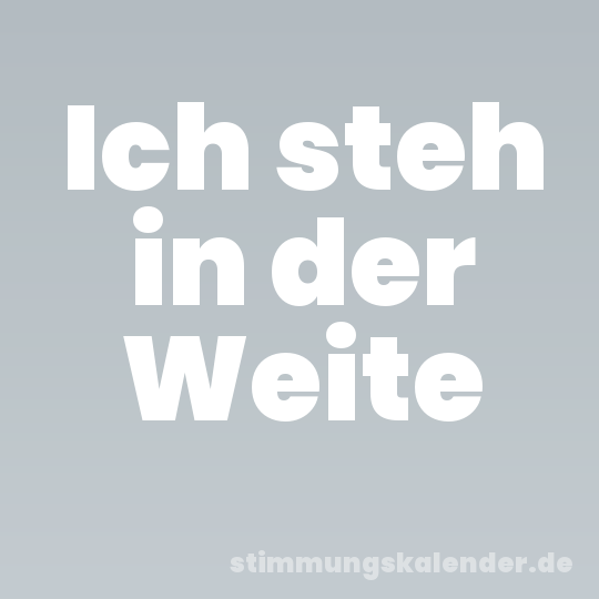 Ich steh in der Weite