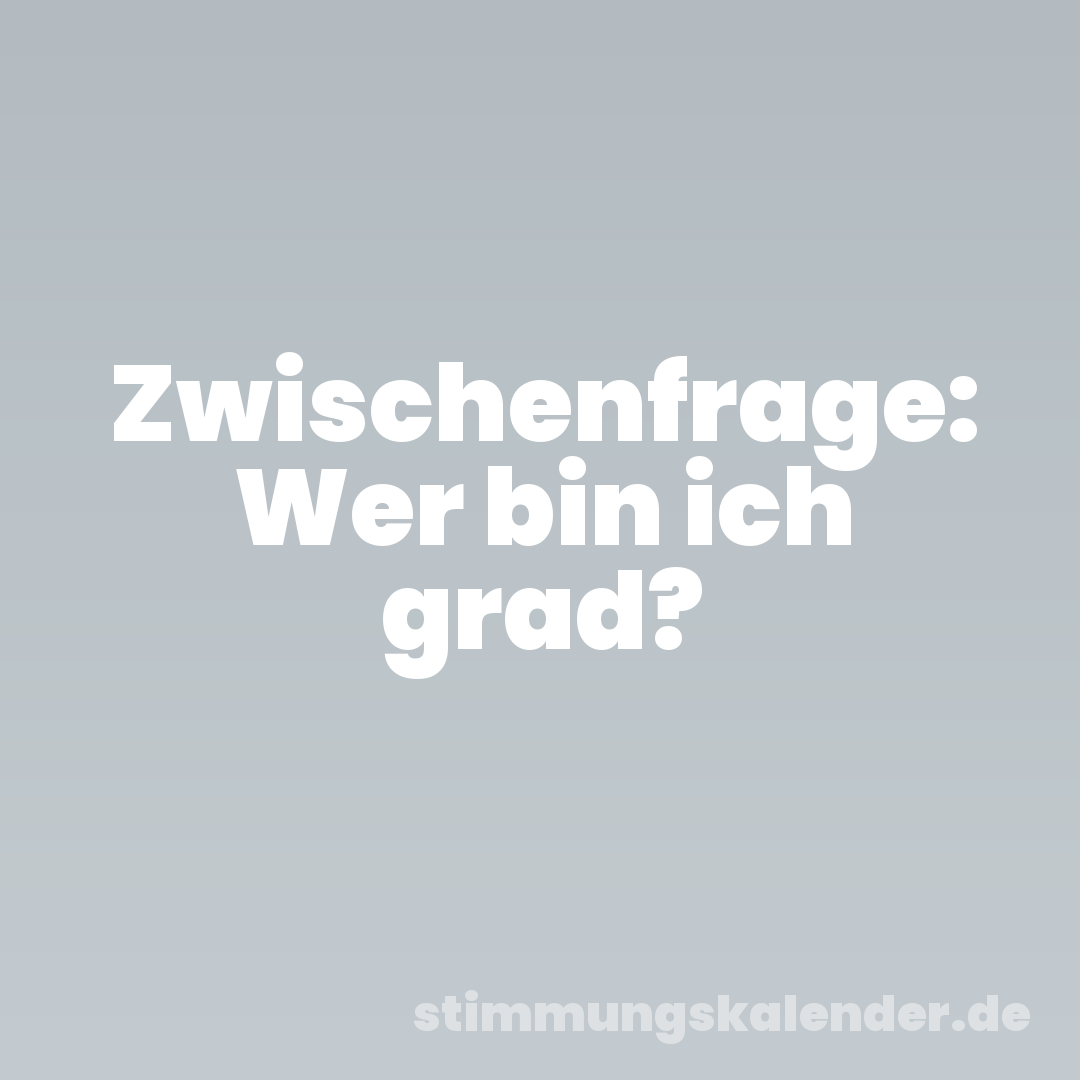 Zwischenfrage: Wer bin ich grad?