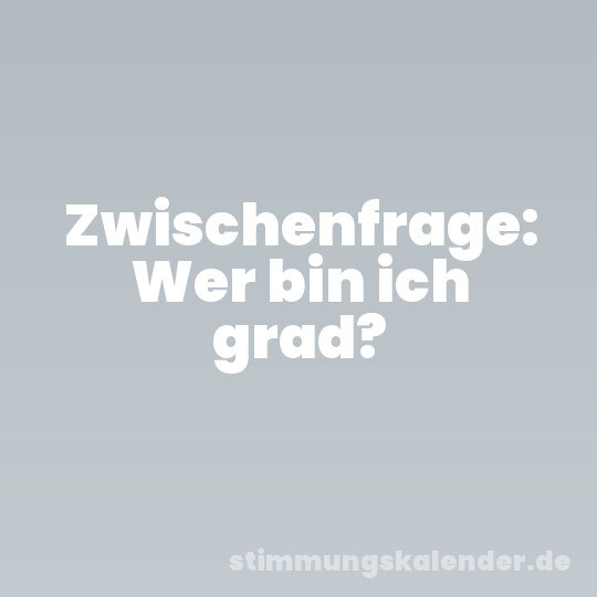 Zwischenfrage: Wer bin ich grad?