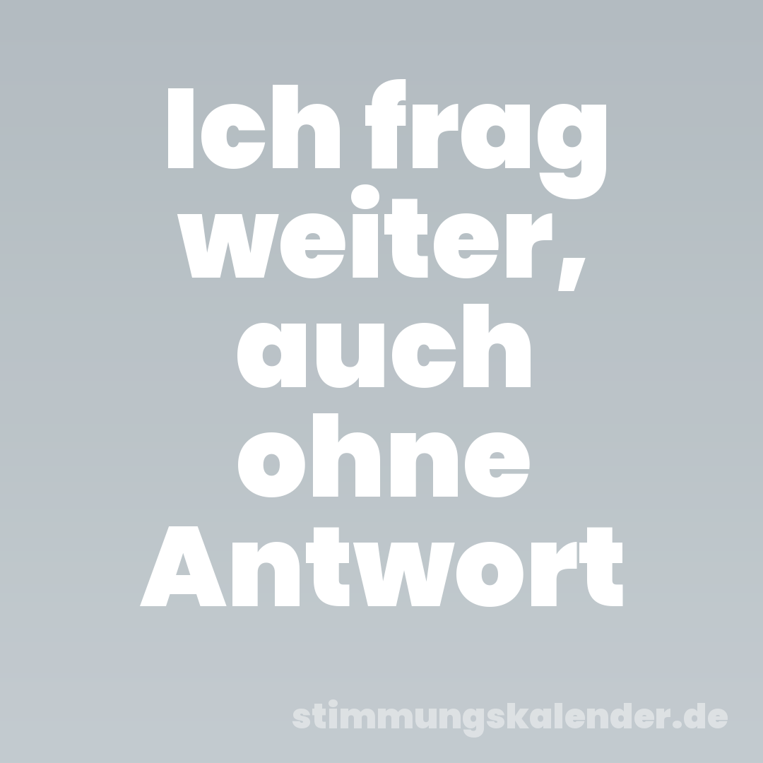 Ich frag weiter, auch ohne Antwort