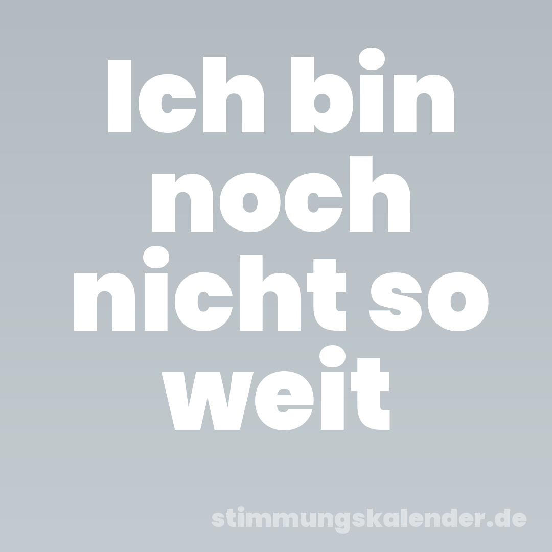 Ich bin noch nicht so weit