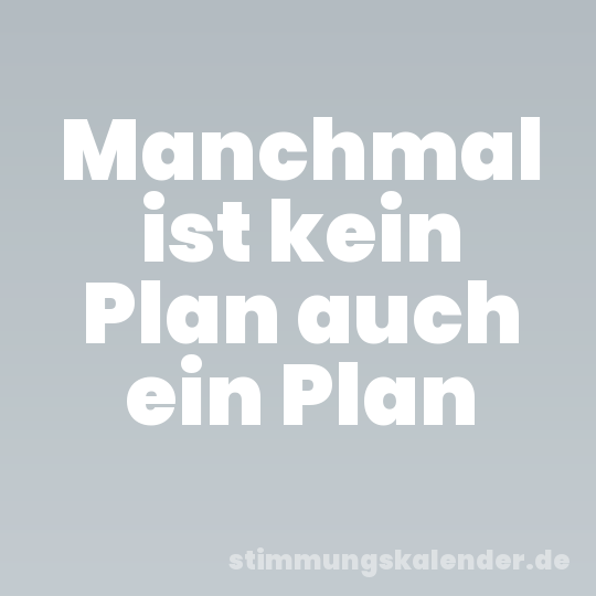 Manchmal ist kein Plan auch ein Plan