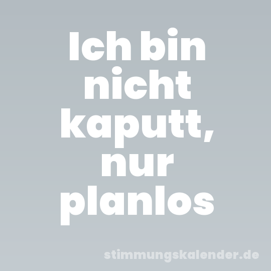 Ich bin nicht kaputt, nur planlos