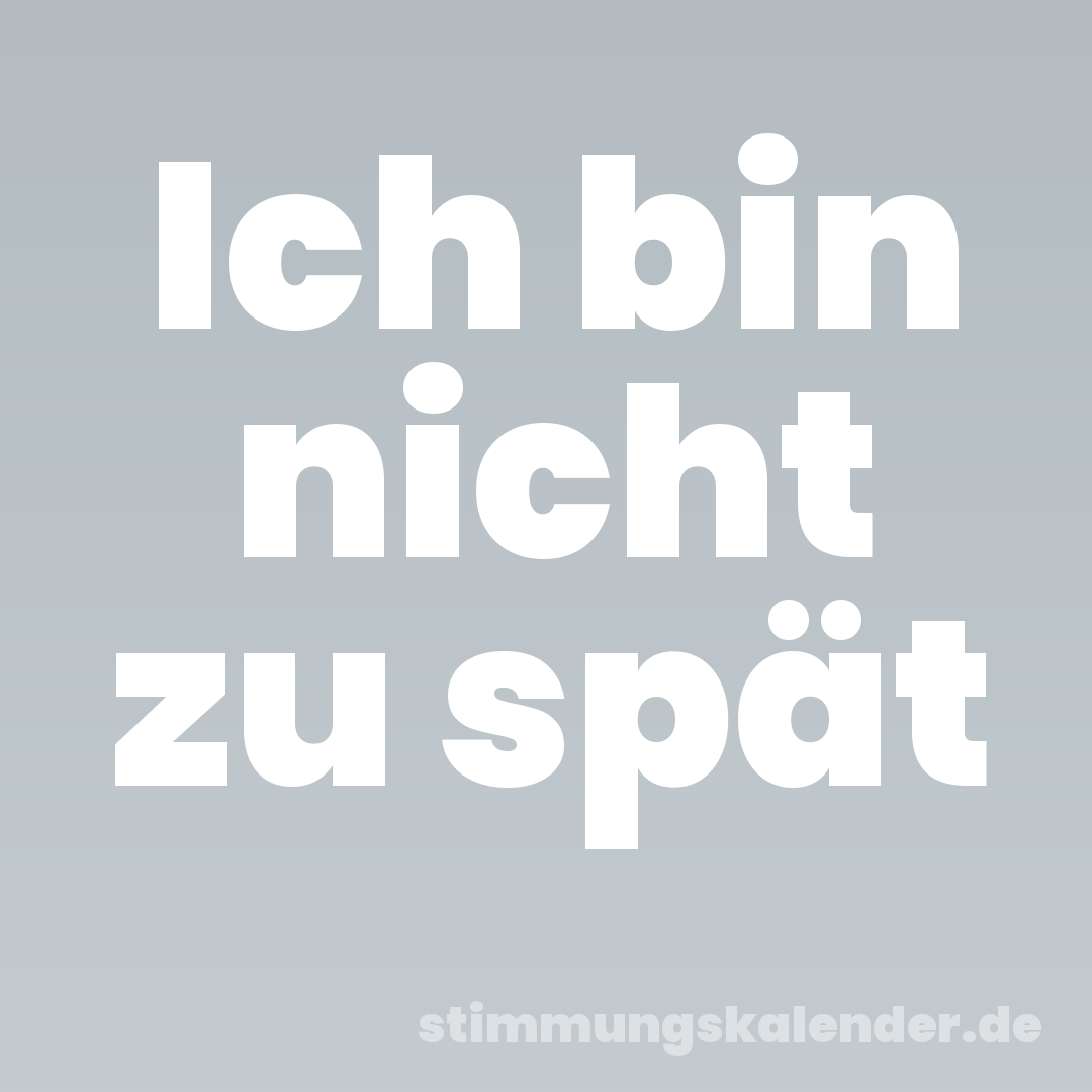 Ich bin nicht zu spät