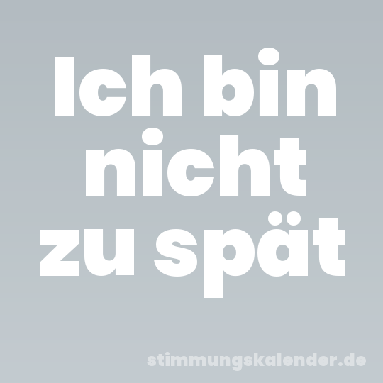 Ich bin nicht zu spät
