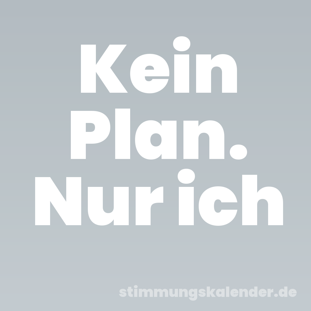 Kein Plan. Nur ich