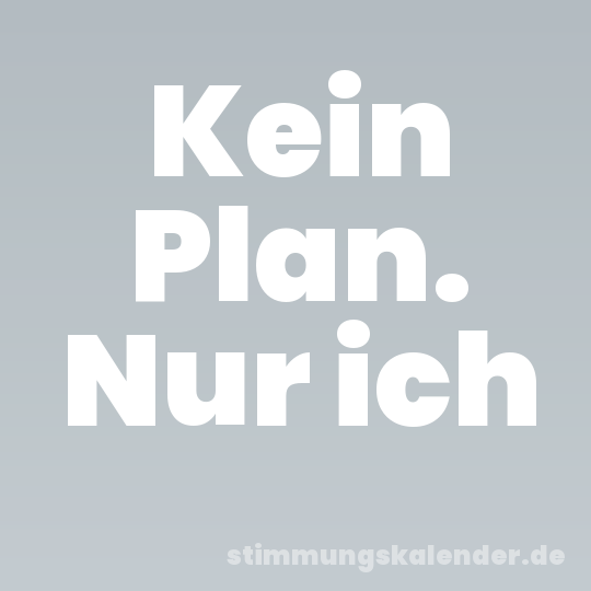 Kein Plan. Nur ich