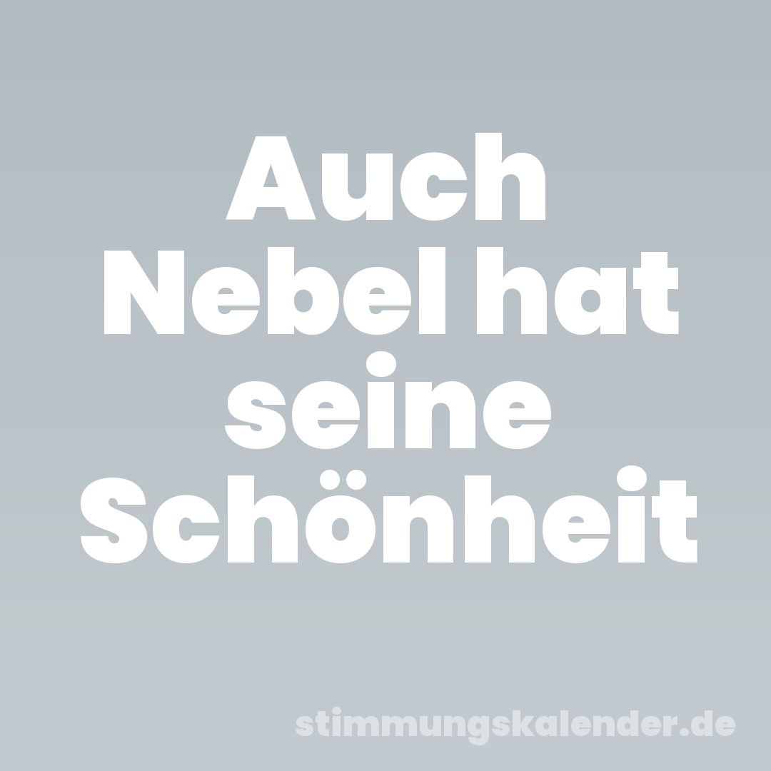 Auch Nebel hat seine Schönheit