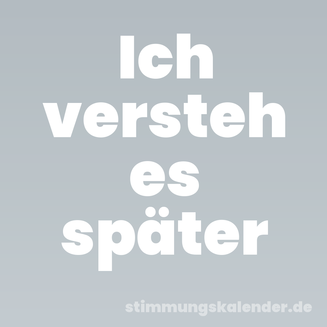 Ich versteh es später