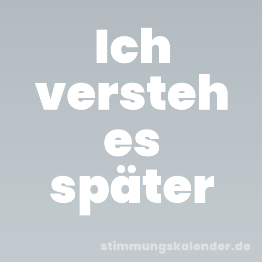 Ich versteh es später