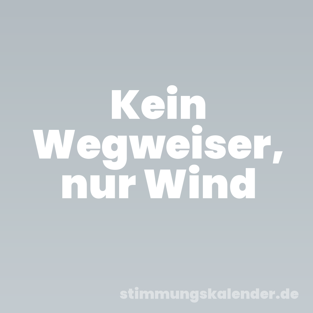 Kein Wegweiser, nur Wind