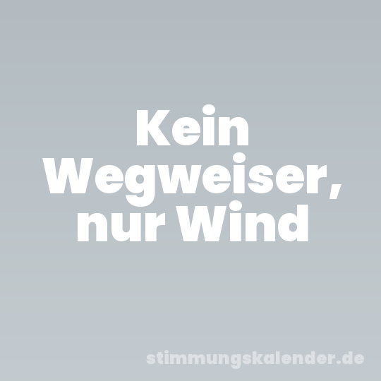 Kein Wegweiser, nur Wind