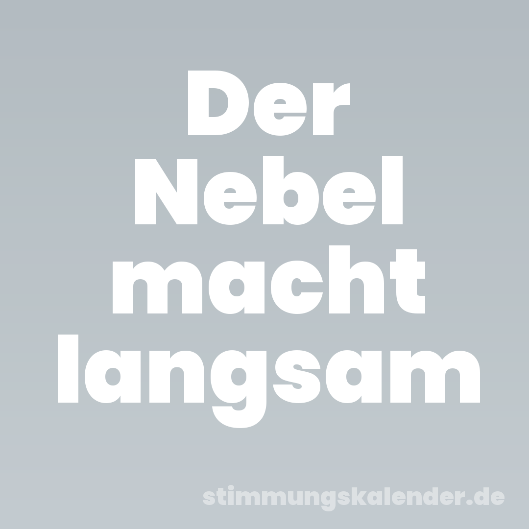 Der Nebel macht langsam