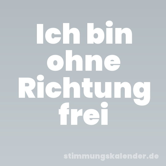 Ich bin ohne Richtung frei