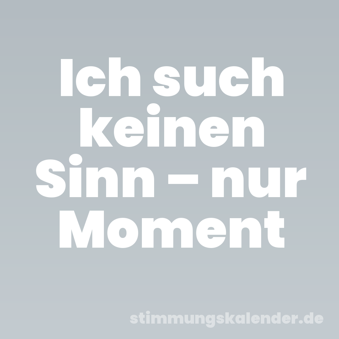 Ich such keinen Sinn – nur Moment