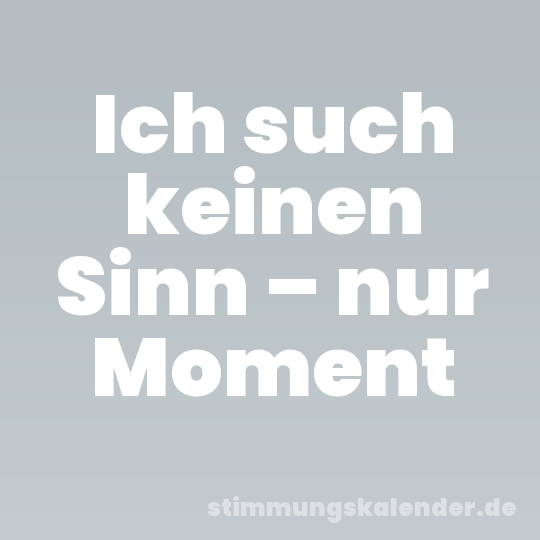 Ich such keinen Sinn – nur Moment