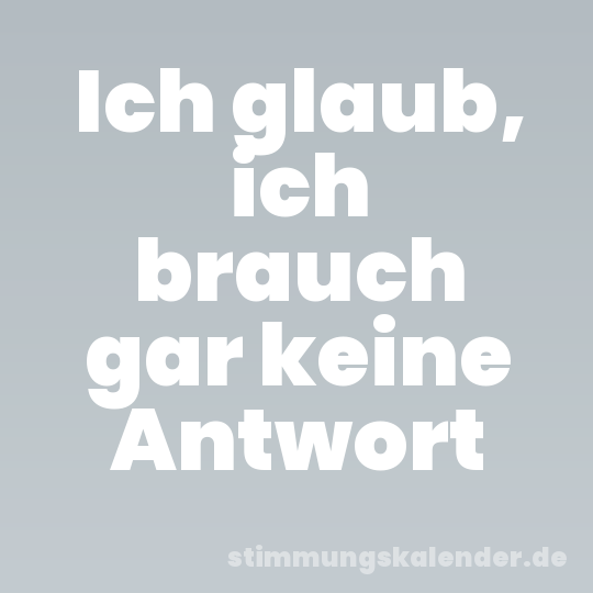 Ich glaub, ich brauch gar keine Antwort