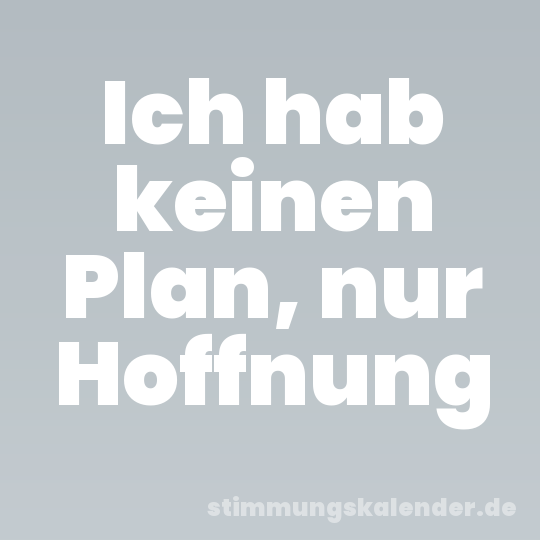 Ich hab keinen Plan, nur Hoffnung