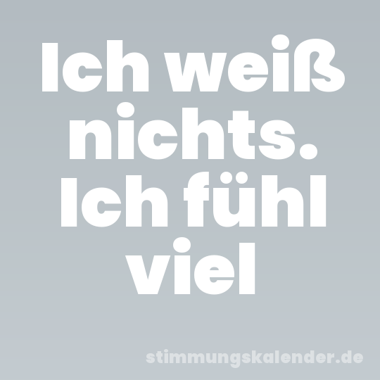 Ich weiß nichts. Ich fühl viel