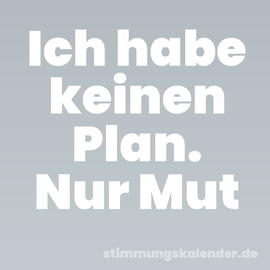 Ich habe keinen Plan. Nur Mut