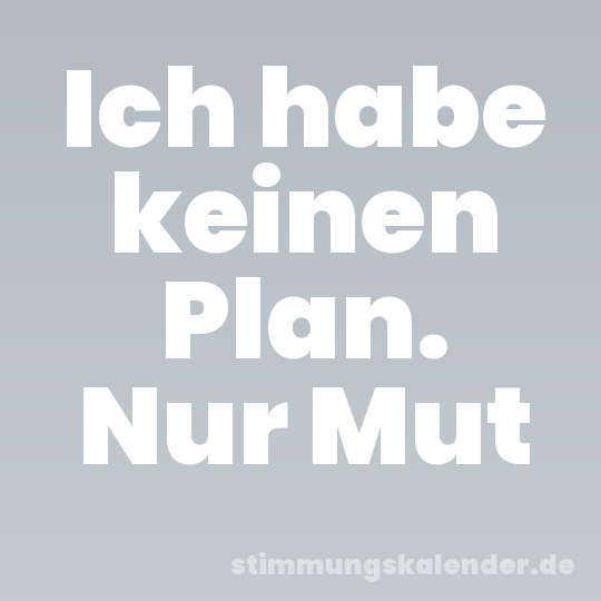 Ich habe keinen Plan. Nur Mut
