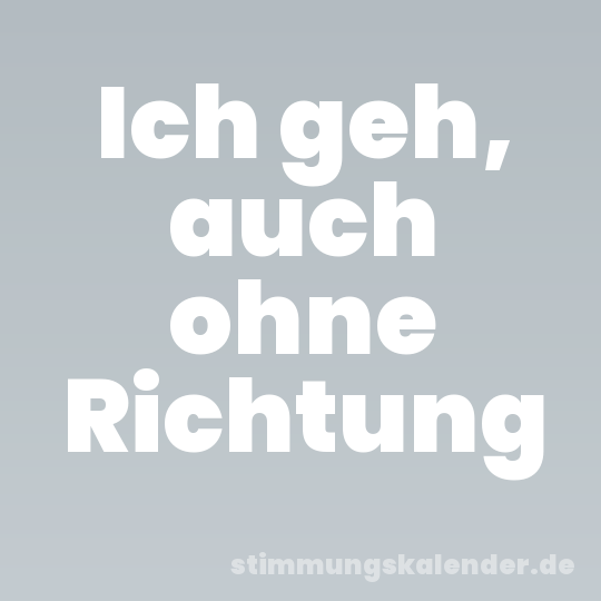 Ich geh, auch ohne Richtung