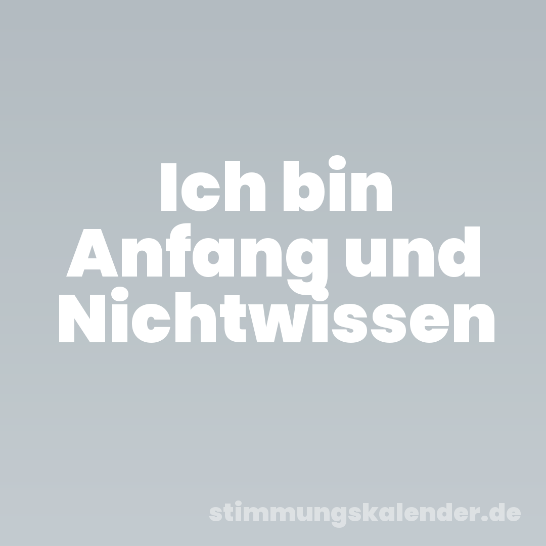 Ich bin Anfang und Nichtwissen