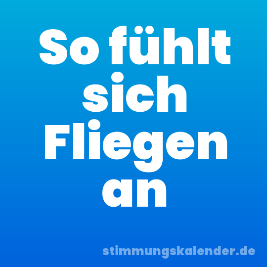 So fühlt sich Fliegen an