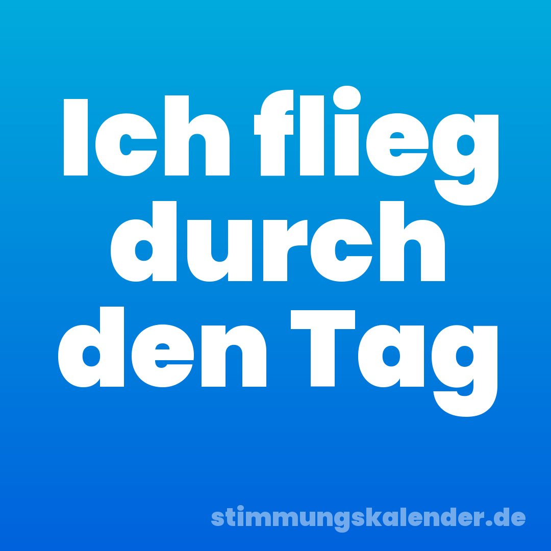 Ich flieg durch den Tag